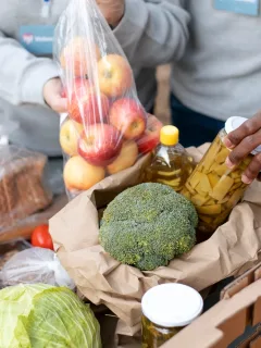Changes in state-level food assistance programs in 2025