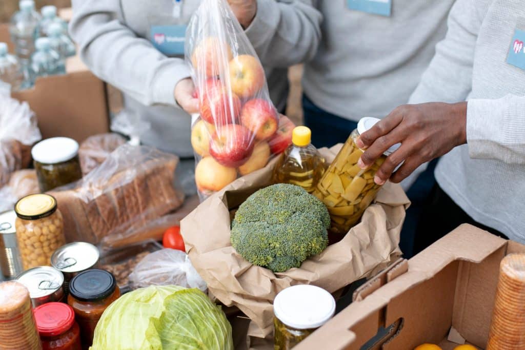 Changes in state-level food assistance programs in 2025