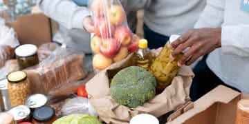 Changes in state-level food assistance programs in 2025